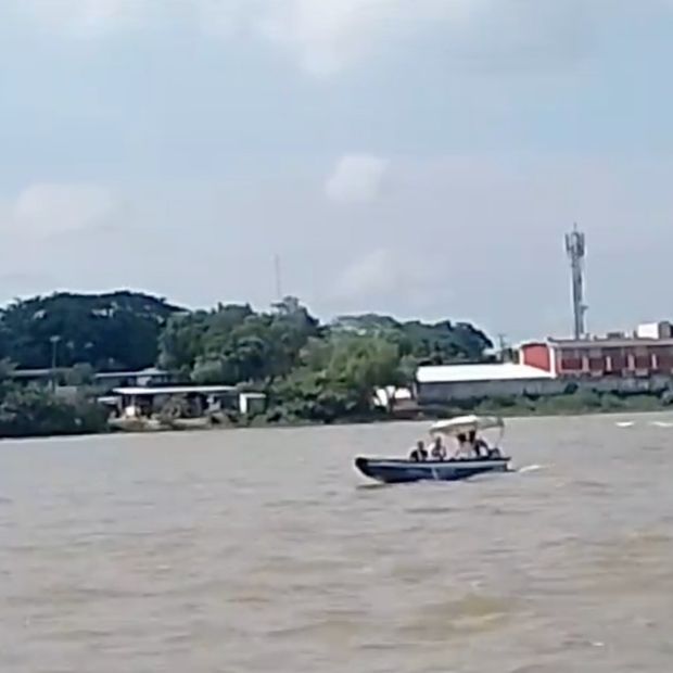 Avistamiento de cocodrilo en Capoacán.