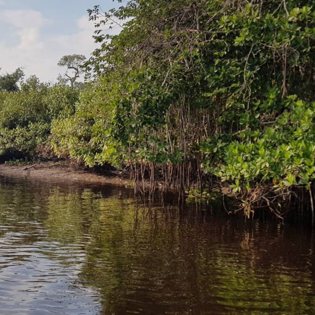 Muere ahogado en río Tecolutla