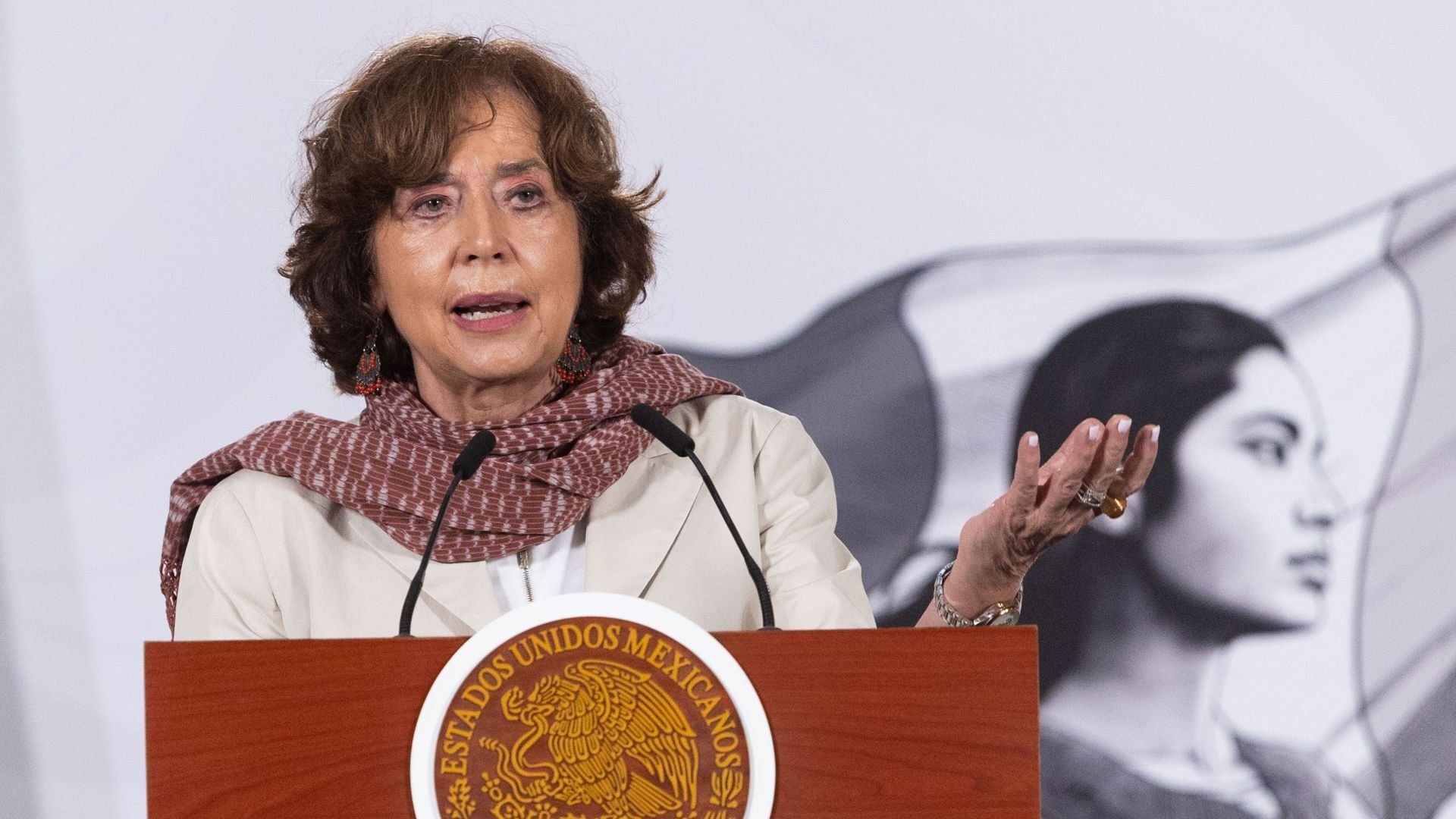 Rosaura Ruiz Gutiérrez, secretaria de Ciencia, Humanidades, Tecnología e Innovación