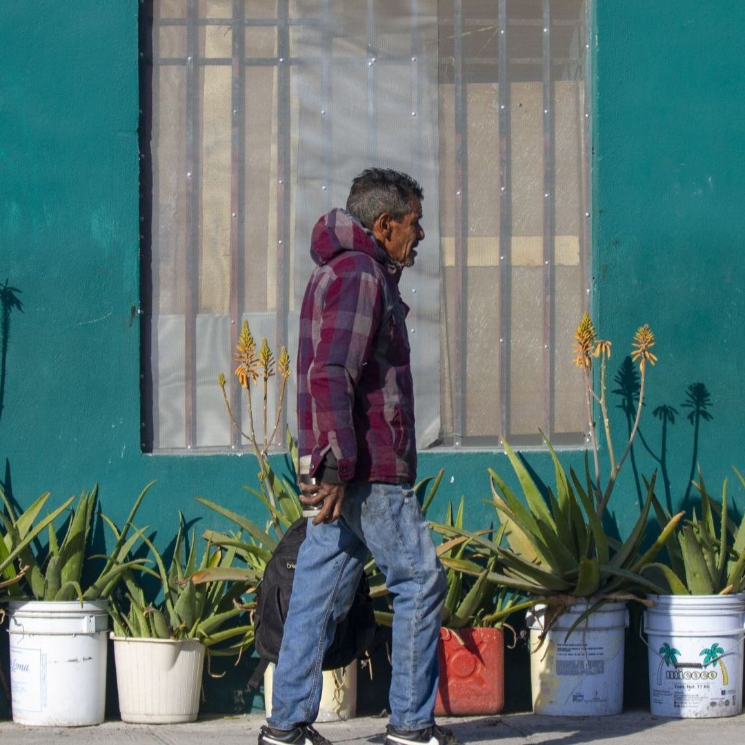 Un hombre camina por la acera a un lado macetas de sábila.