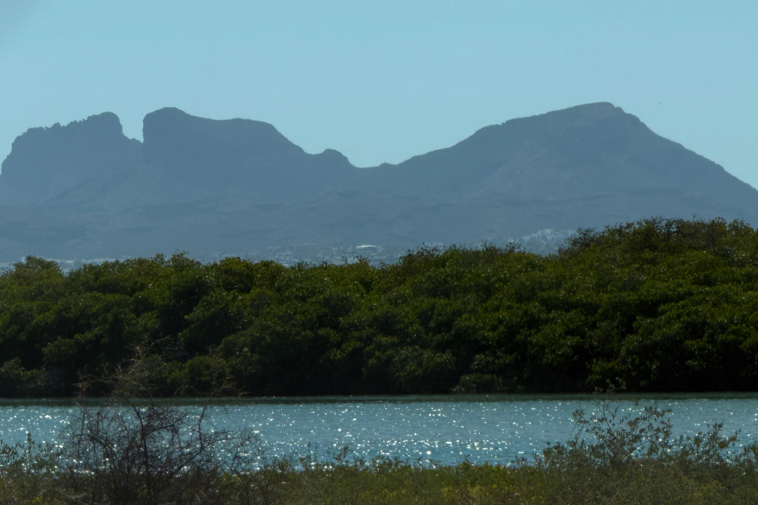 San Carlos, Pueblo Mágico Sonorense Frente al Mar de Cortés