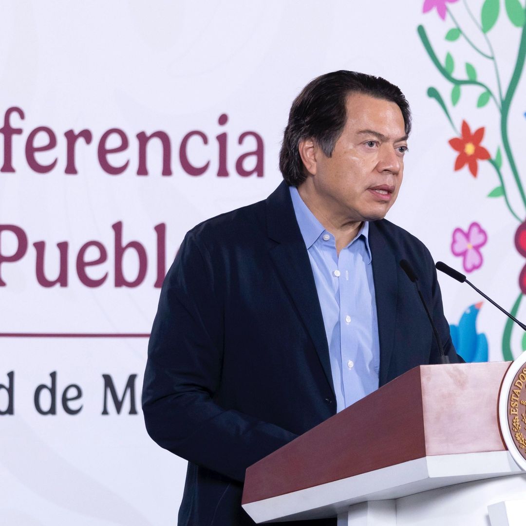 Mario Delgado, titular de la SEP