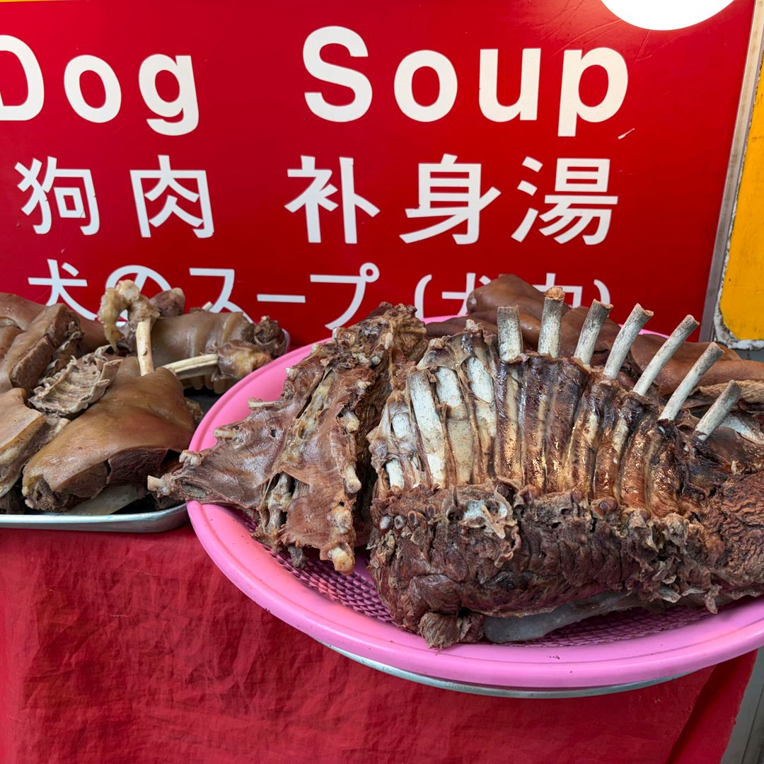 Sopa de perro en restaurante de Corea del Sur