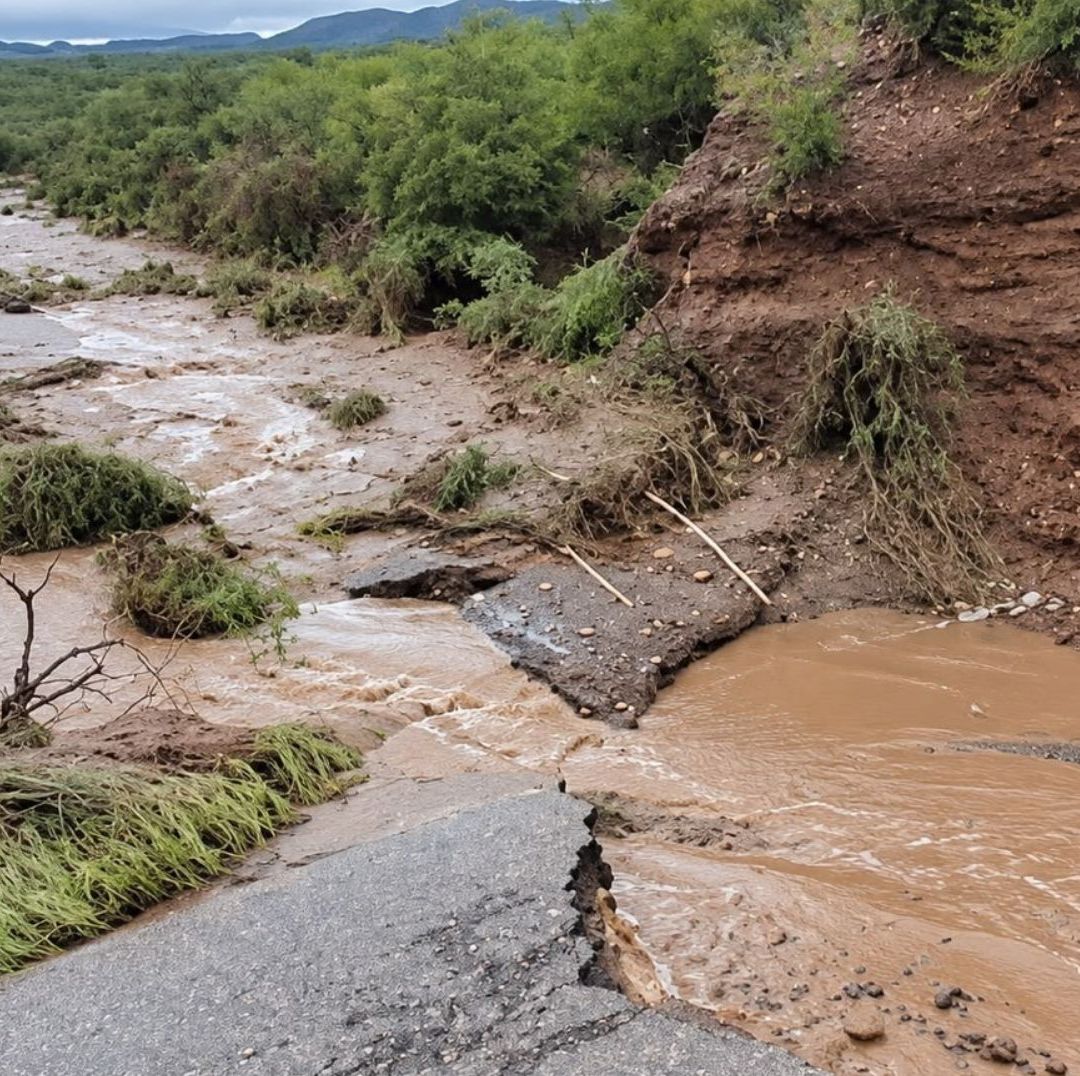 Colapsa Puente y Deja Incomunicado a Suaqui Grande tras Lluvias por Huracán Polo en Sonora