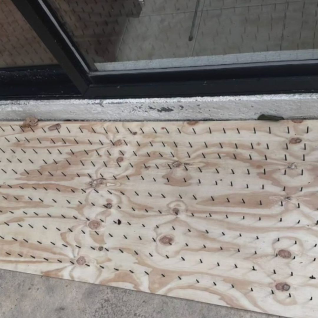 Colocan tablas con clavos contra osos en colonia Olinalá
