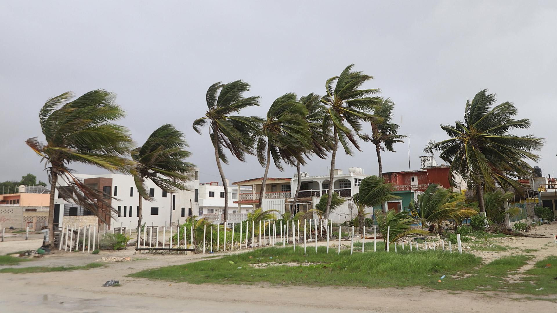 Viento en Yucatán en julio 2024 ante el paso de la tormenta tropical Beryl. Foto: Cuartoscuro | Archivo
