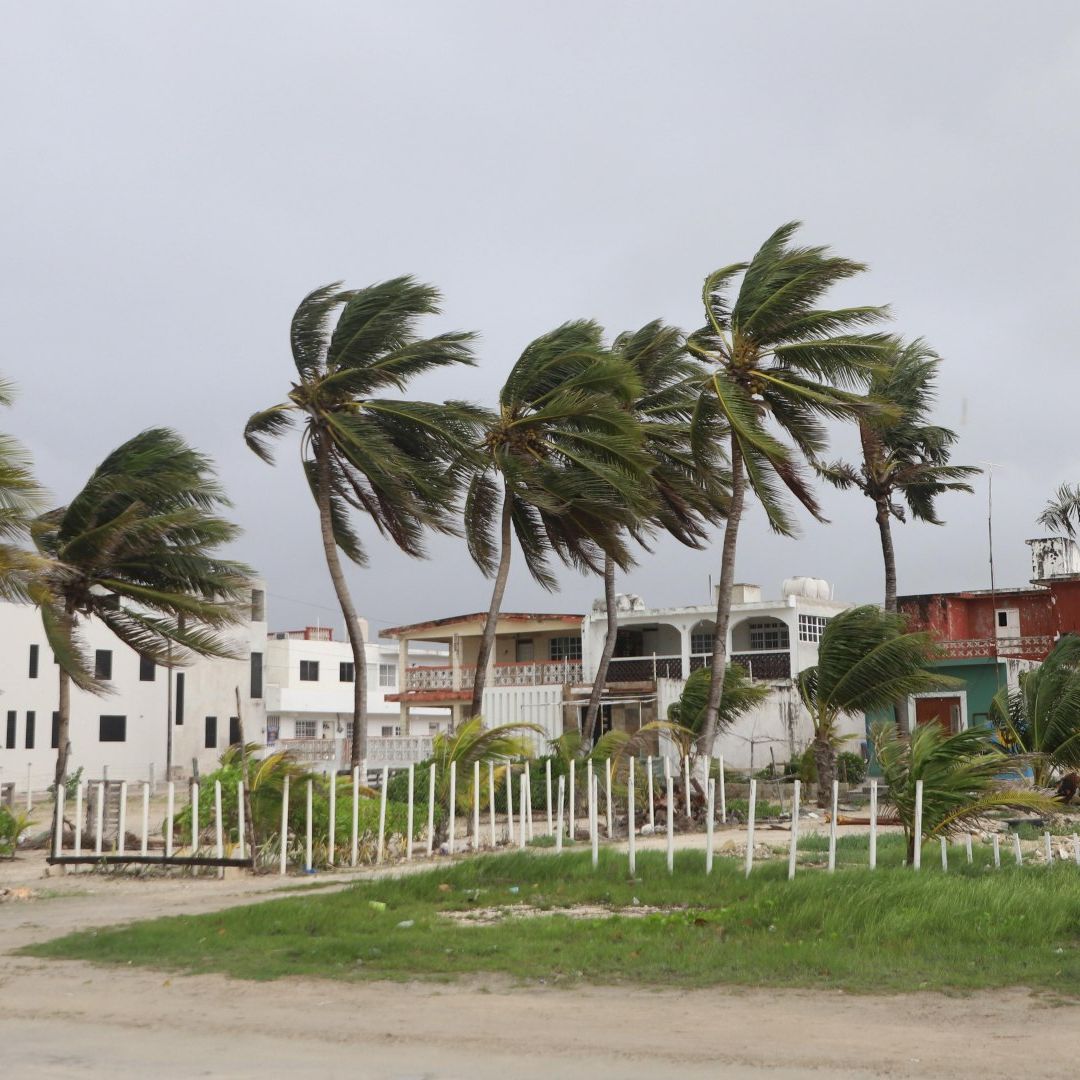 Viento generado en la Península de Yucatán por el ciclón Beryl en julio 2024. Foto: Cuartoscuro | Archivo
