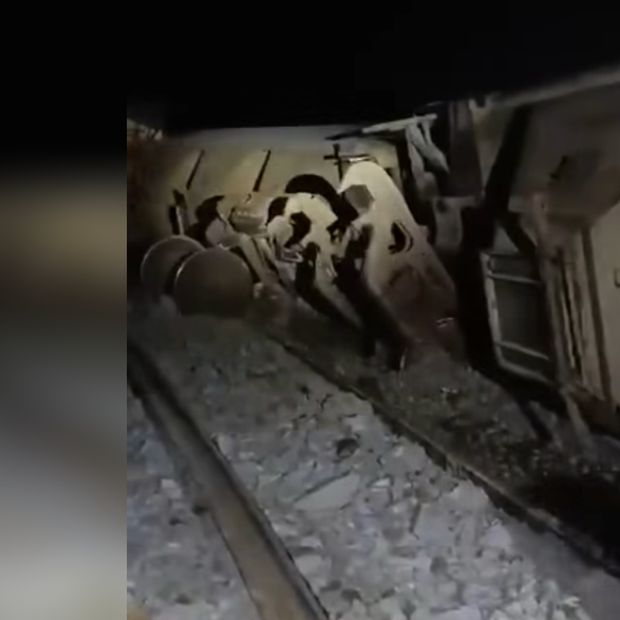 El descarrilamiento de un tren en Veracruz dejó granos esparcidos y pérdidas económicas