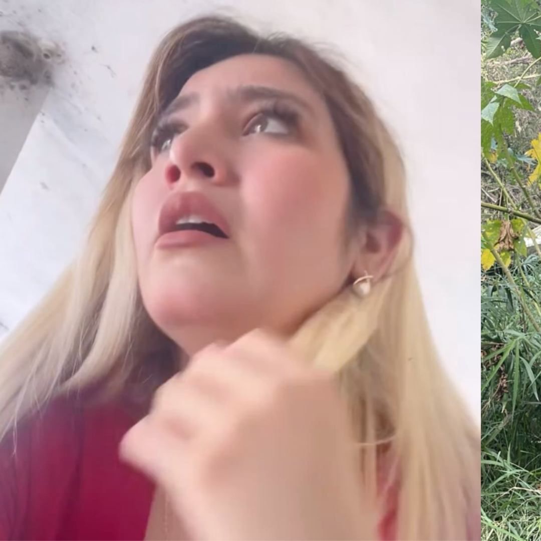 Las autoridades dieron a conocer la identidad de los tres tripulantes de la aeronave
