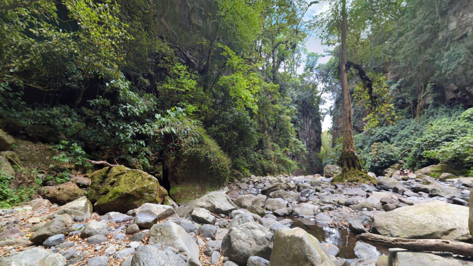 Diez Turistas y Un Perro Quedan Atrapados en los Cañones de Pextlan en Veracruz