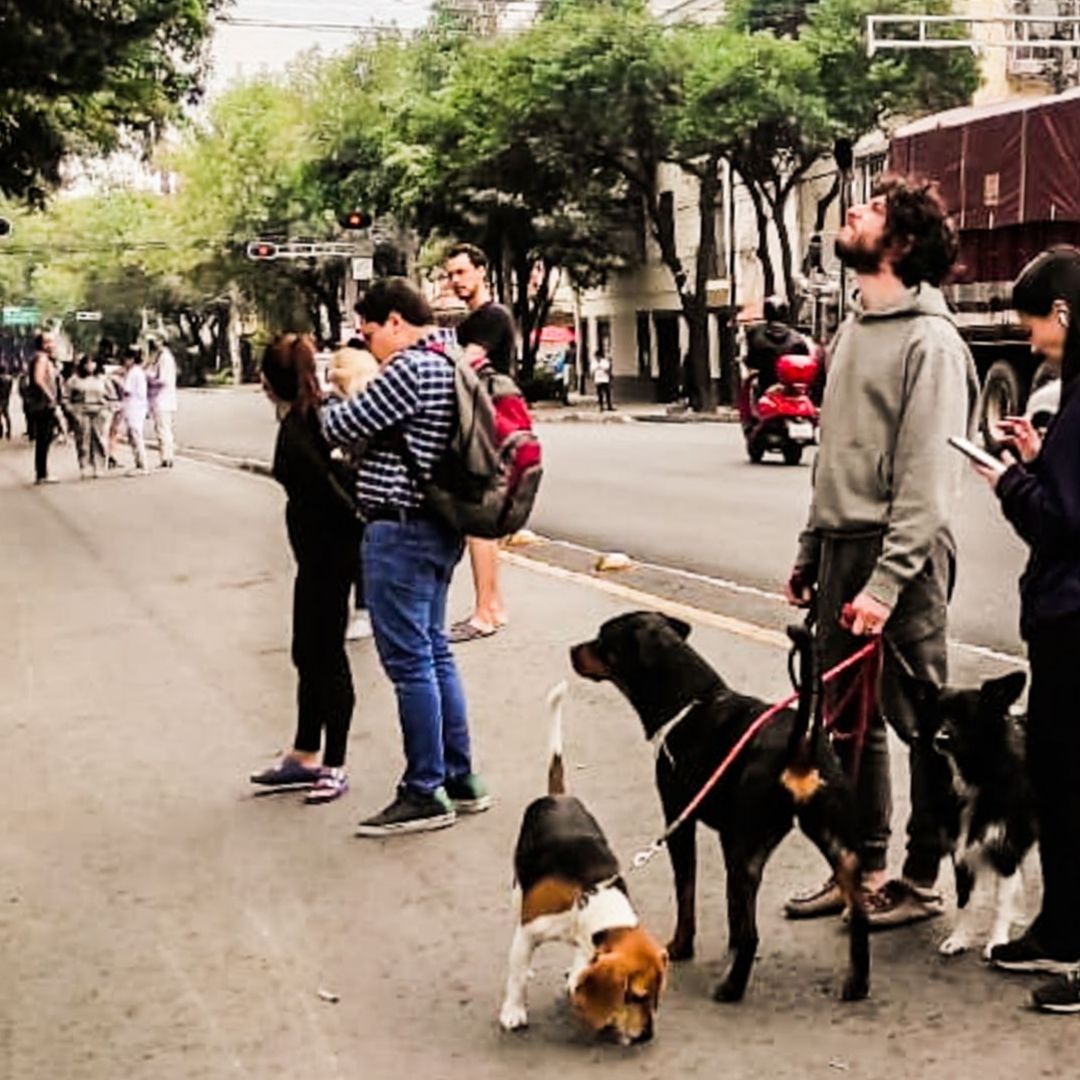 Va a temblar hoy 19 de septiembre 2026 a qué hora sonará la alerta sísmica en México
