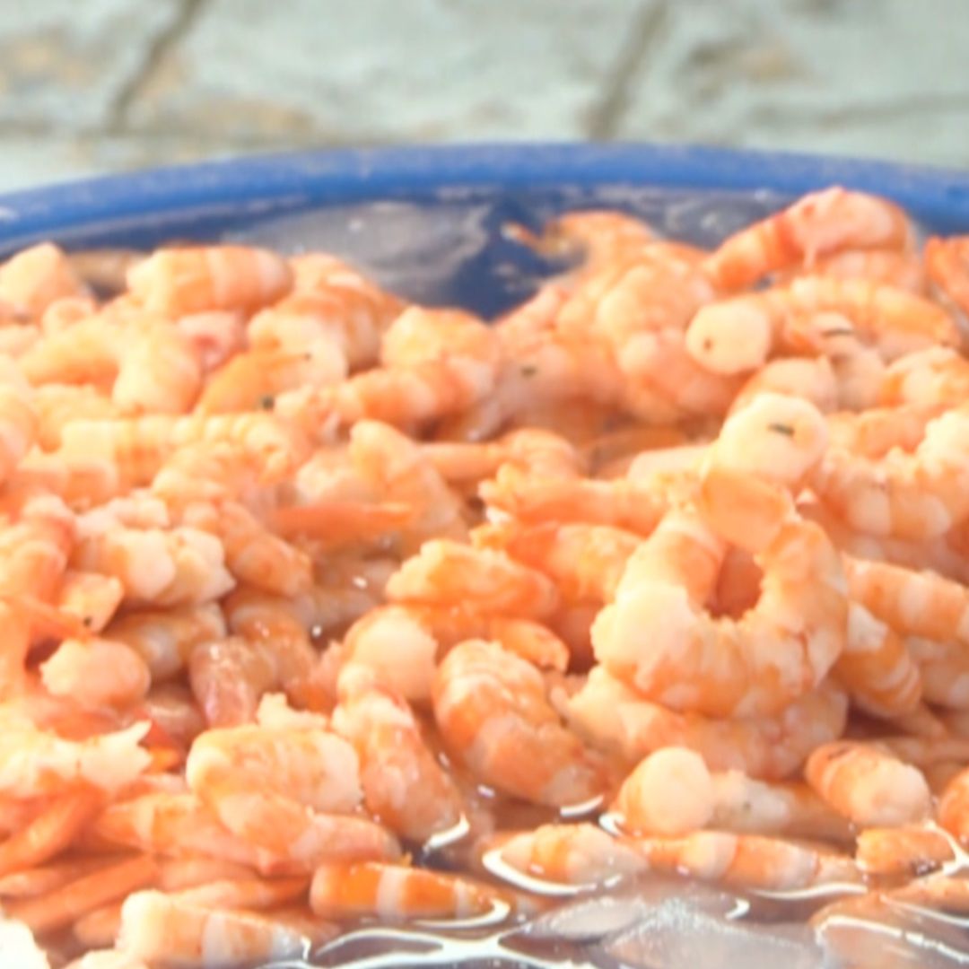 Veda de Camarón
