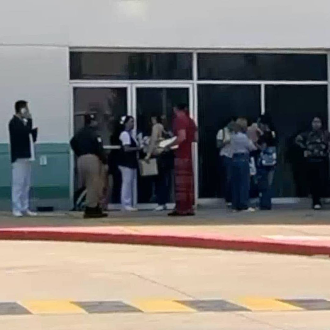 Veracruz Ocupa Primer Lugar Nacional en Gusano Barrenador en Humanos en 2026