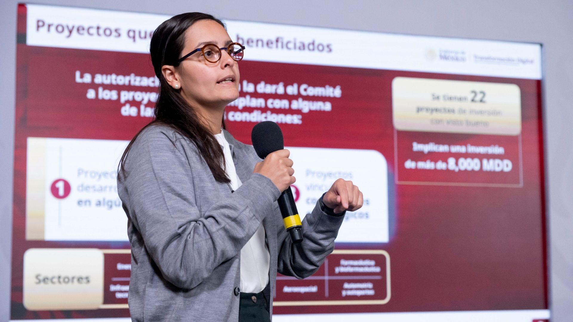 Ximena Escobedo, subsecretaria de Industria y Comercio de la Secretaría de Economía