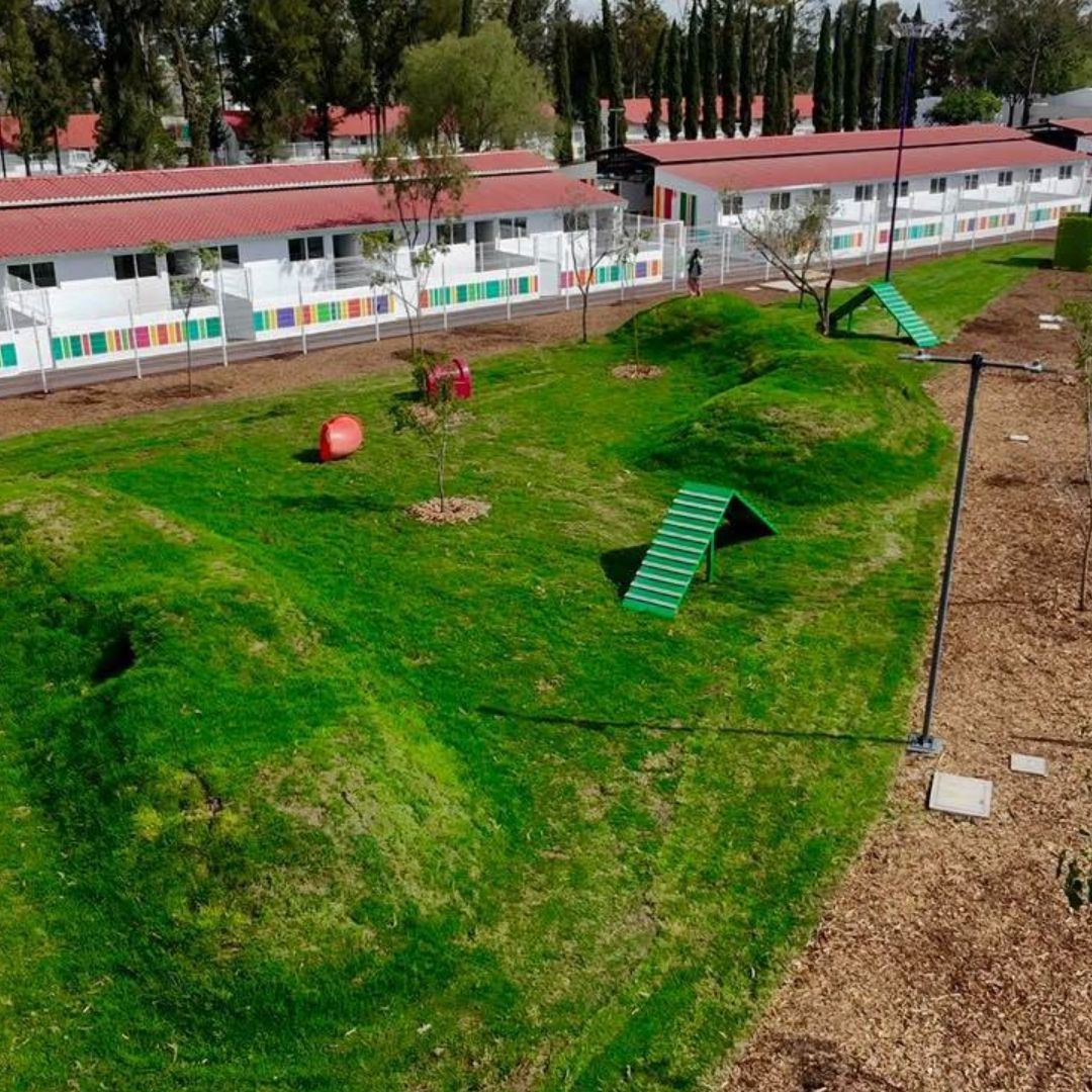Refugio Xólotl para 600 Perros y Gatos: Esta es la Ubicación del Nuevo Albergue en CDMX