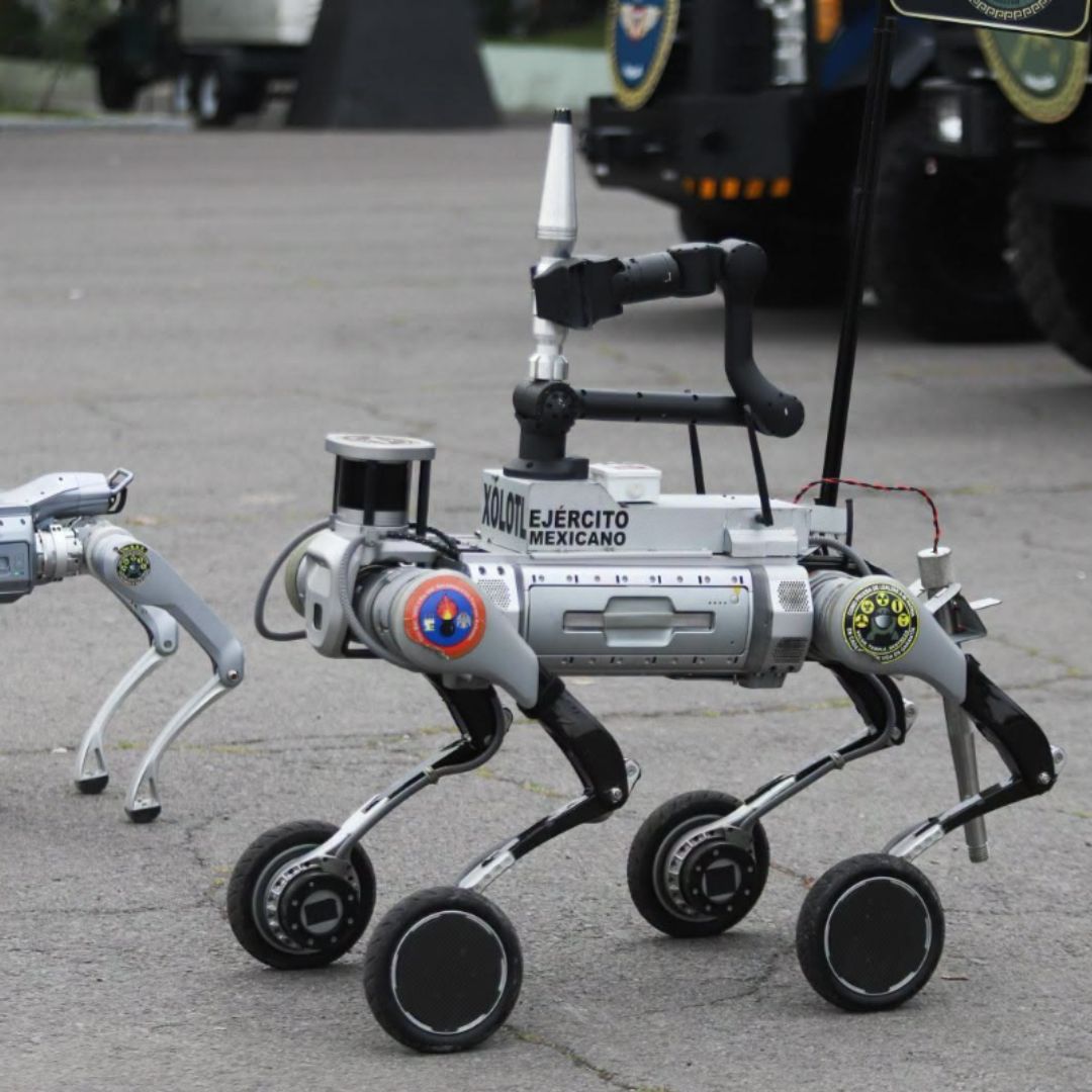 Ejército Mexicano Presenta a ‘Xólotl’, Perro Robot que Desactiva Explosivos