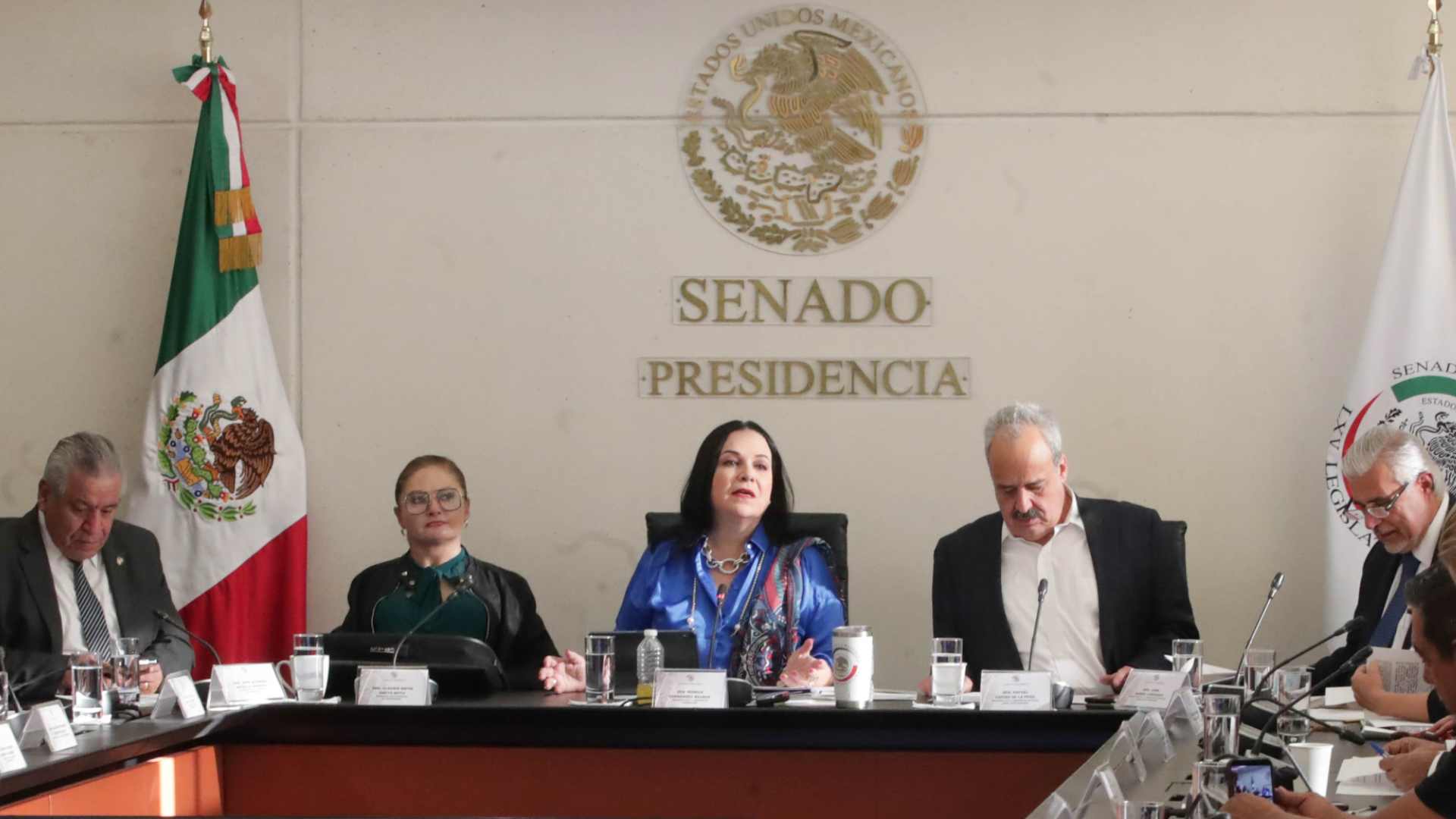 Reforma Electoral: Senado Aprueba El Plan B En Comisiones | N+