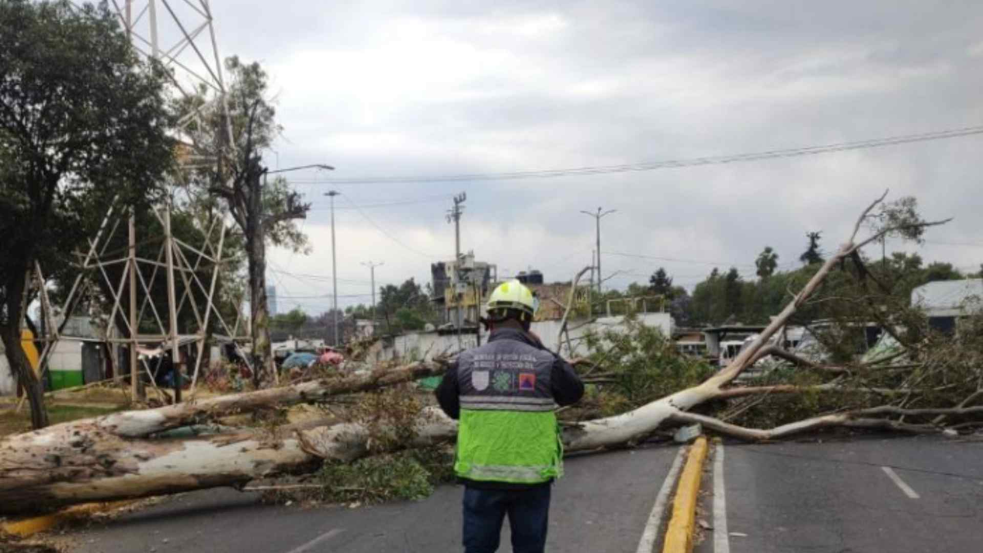 Vientos Fuertes En Cdmx Activan Alerta Amarilla N