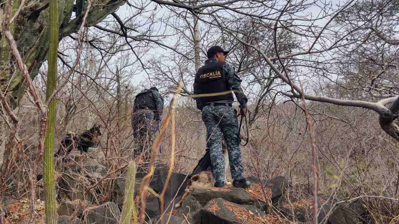 Descubren Fosas Clandestinas en Zirimícuaro, Michoacán N+