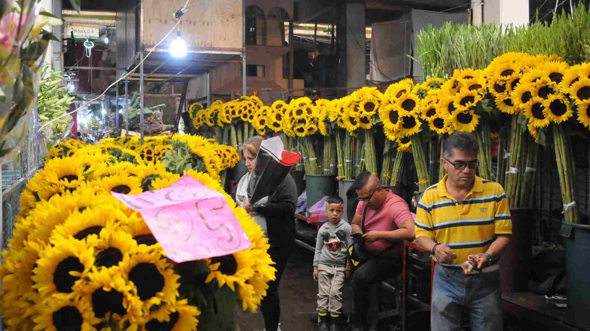 Flores Amarillas ¿Por qué se Regalan el 21 de Marzo? Este es su