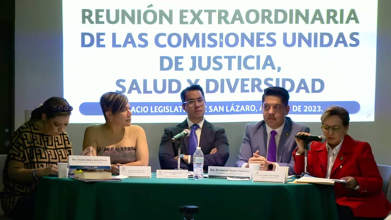 Avanza En Diputados Iniciativa Contra Terapias De Reorientación Sexual N 7042