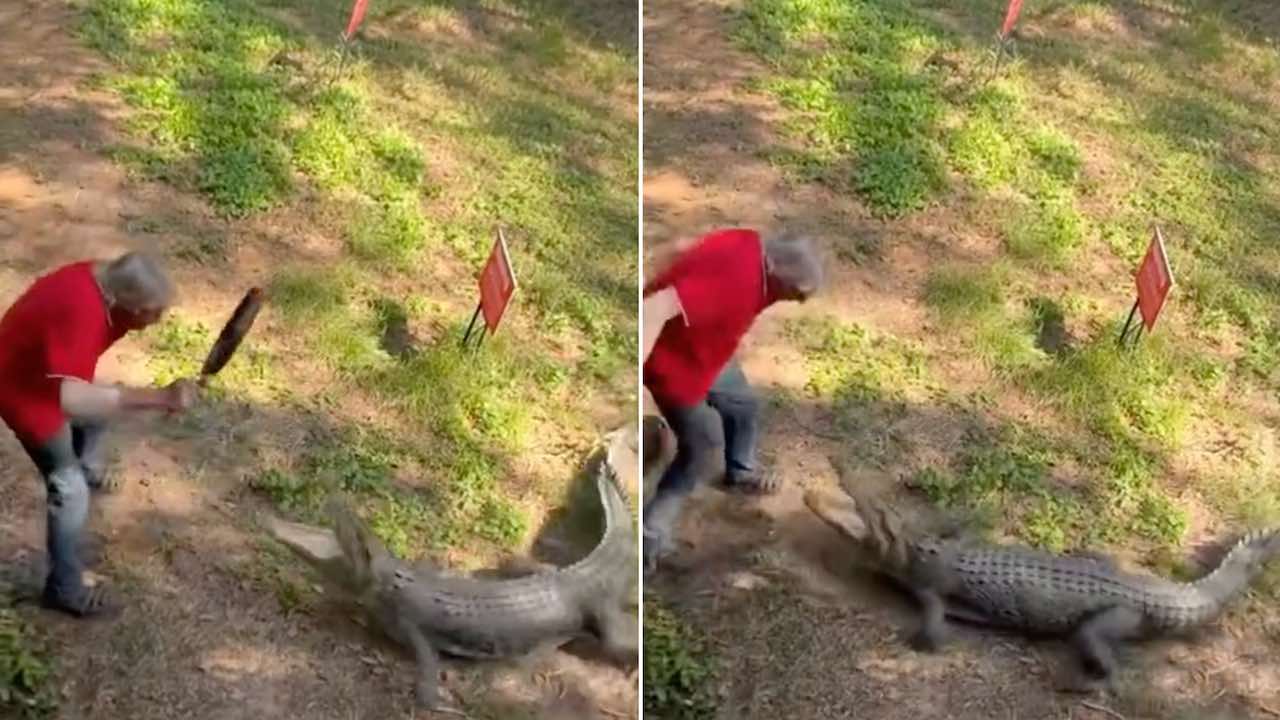 A Sartenazos! Hombre Pelea con Cocodrilo y Gana; Así el Video Viral | N+