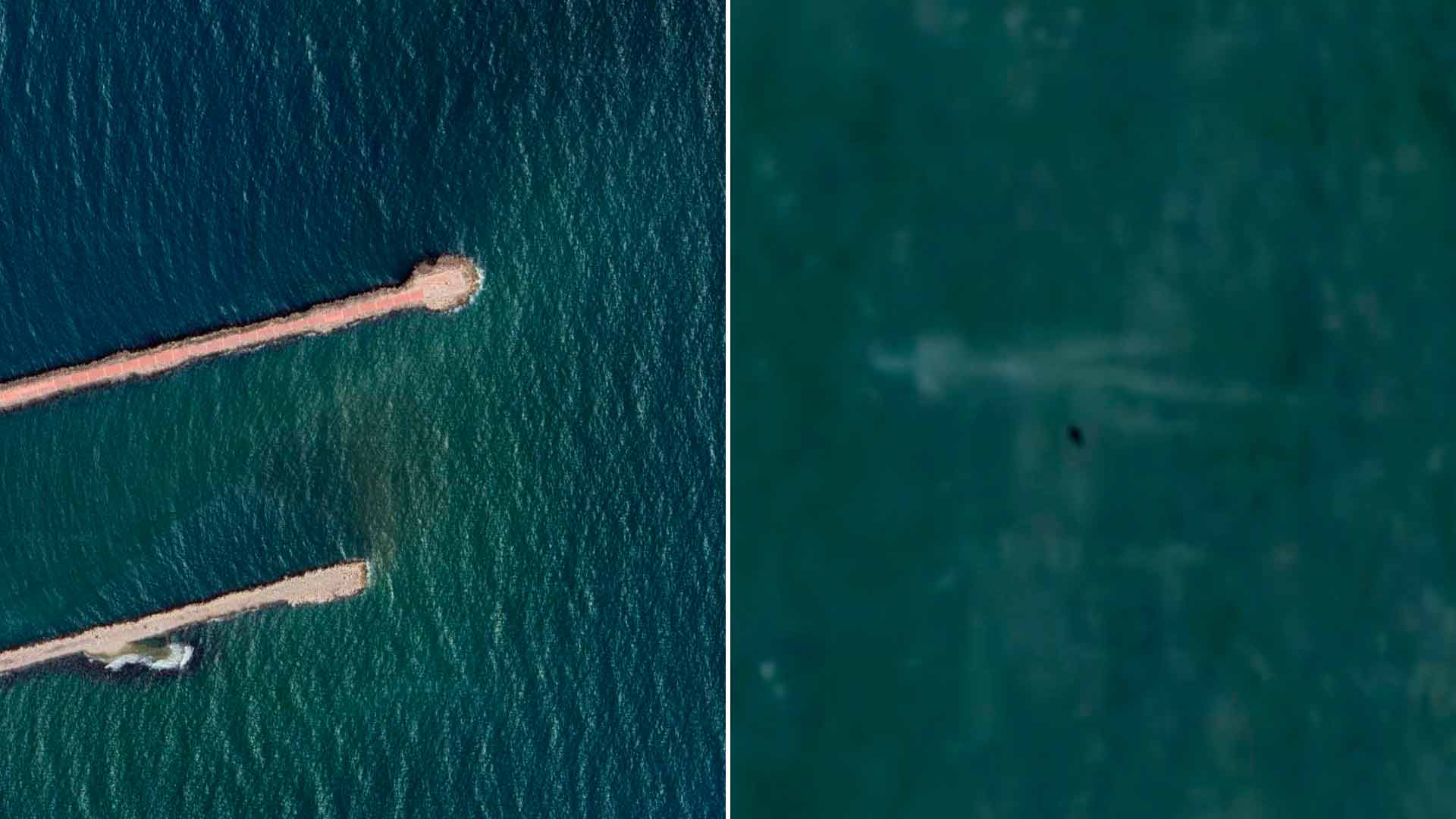 Video Captan Supuesto Monstruo Marino En Playa Miramar Tamaulipas N