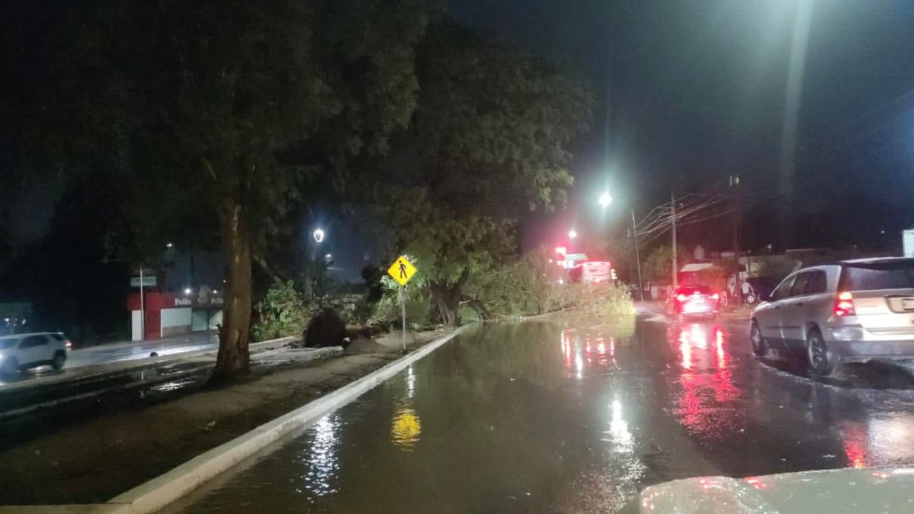 Lluvias Intensas Con Rachas De Viento En Sonora Causan Afectaciones N