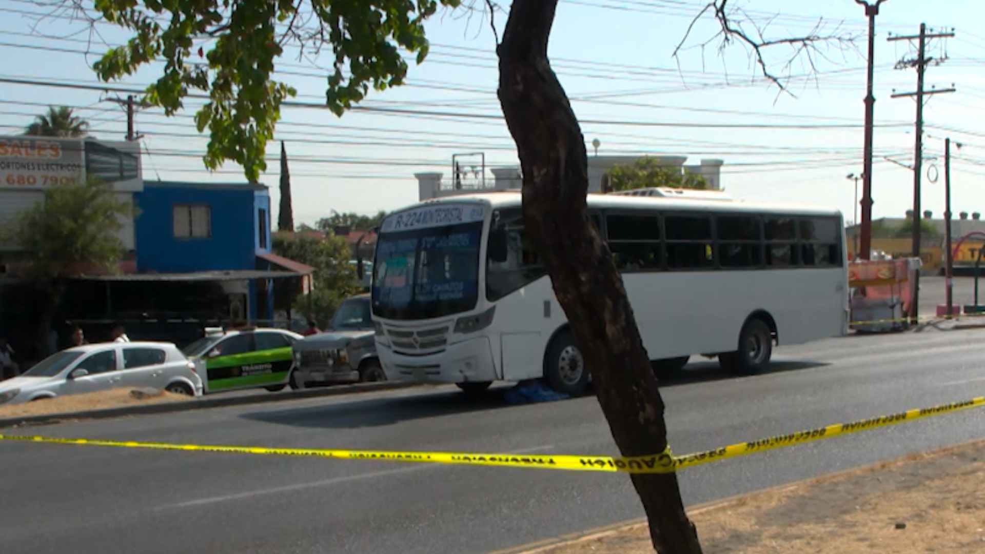 Mujer De La Tercera Edad Muere Atropellada Por Camión De Pasajeros N 8677