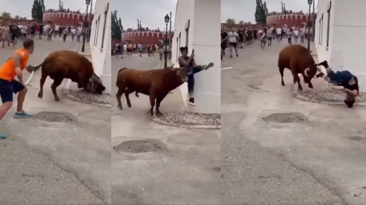 Mujer se distrae con el celular y es embestida por un toro 