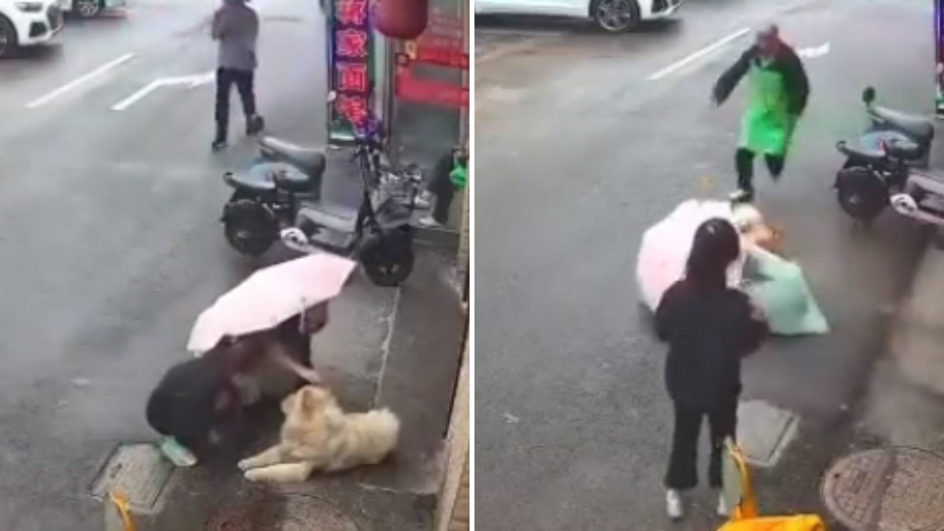 Mujer Acaricia a Perro en la Calle y le Muerde la Cara: Video | N+