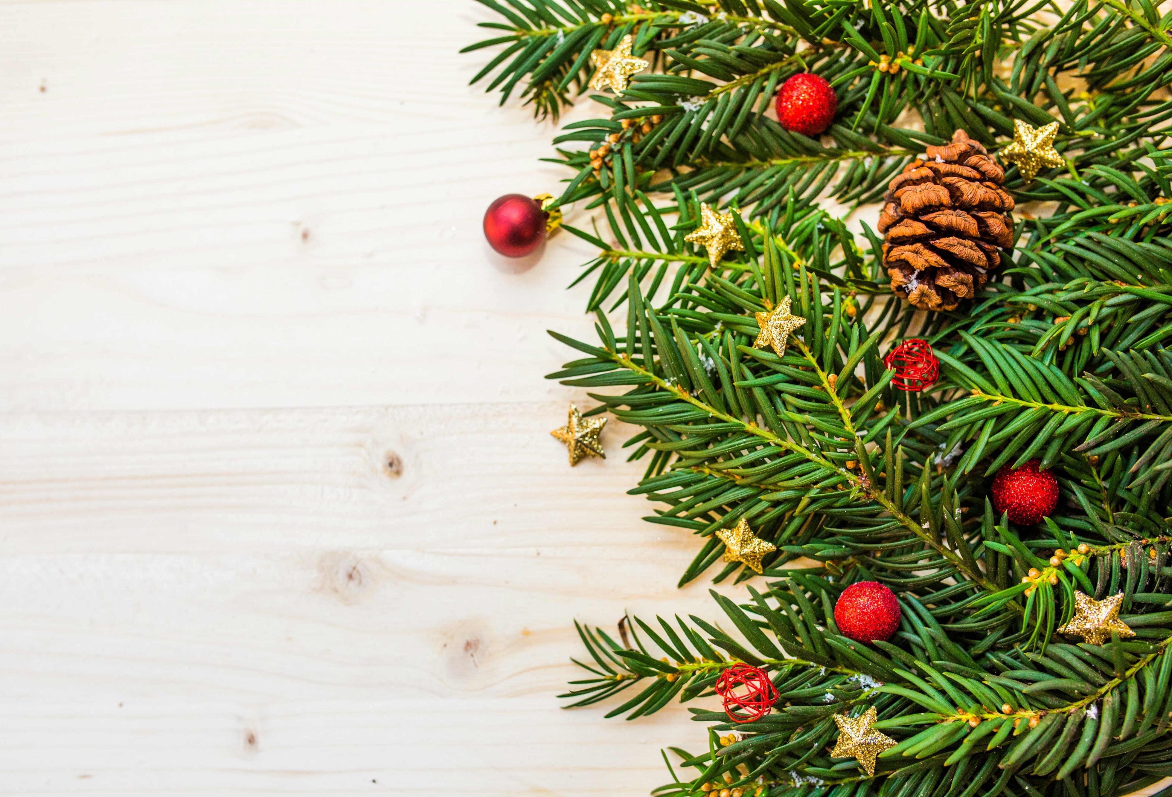 Cómo hacer que dure más tu árbol de Navidad natural | N+