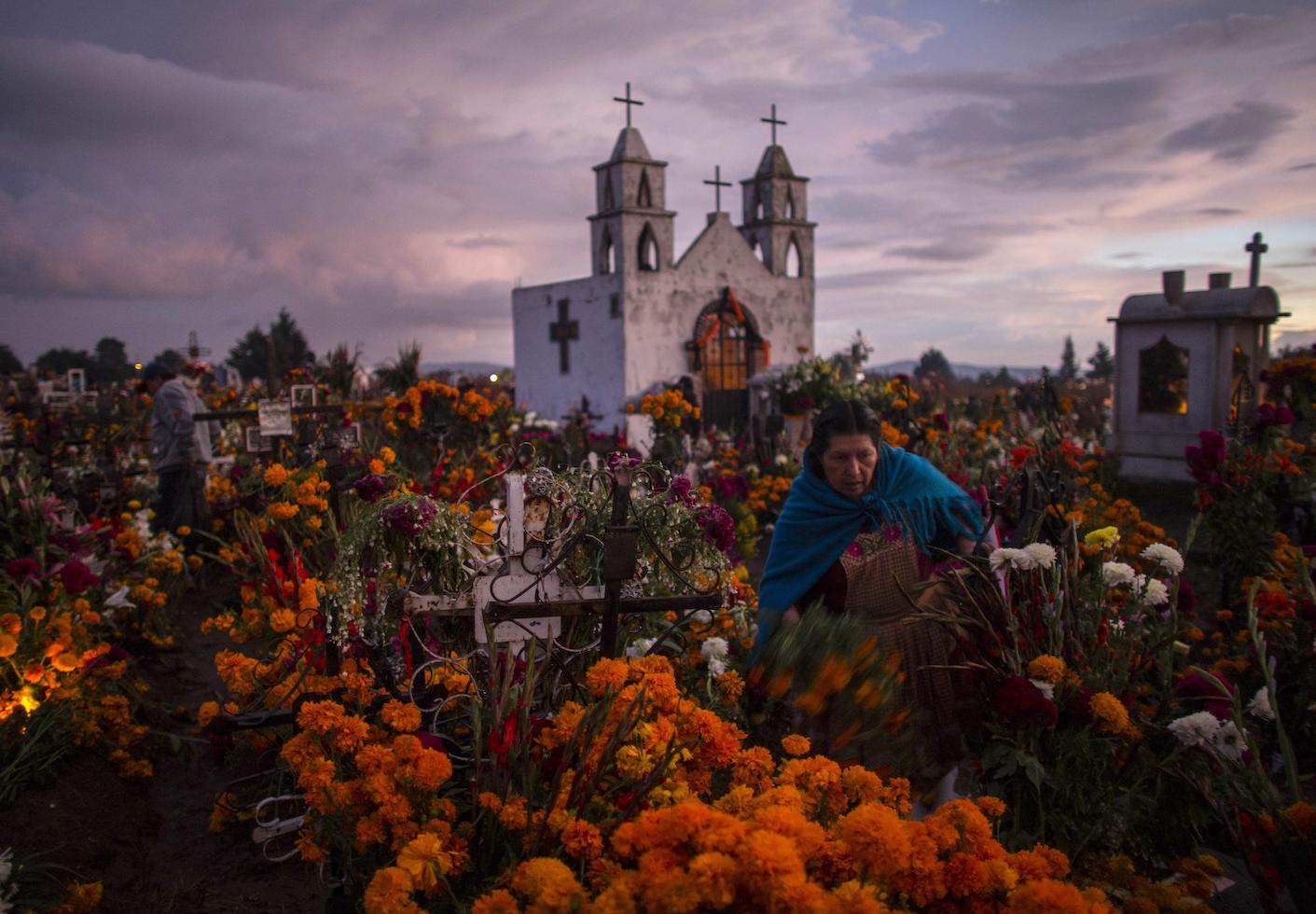 Así celebran Día de Muertos en distintos estados de México | N+