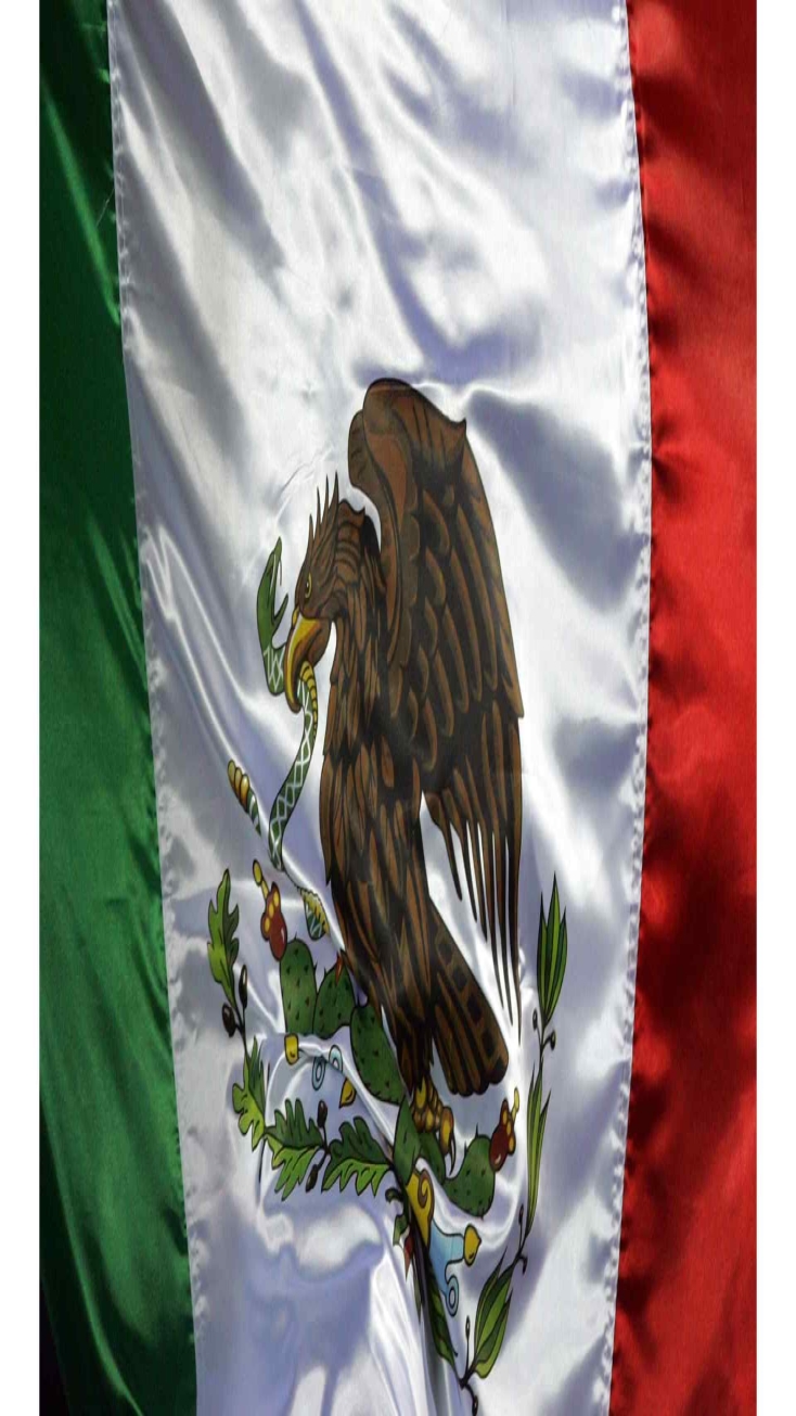 Por qué en México no puedes usar la bandera como quieras? Esto Dice la Ley  | N+